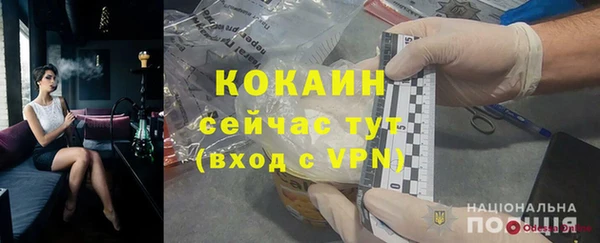 индика Гусев