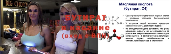 индика Гусев