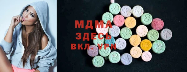 индика Гусев