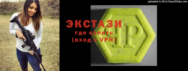 индика Гусев