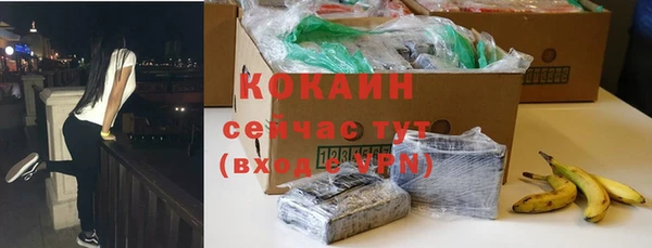 индика Гусев