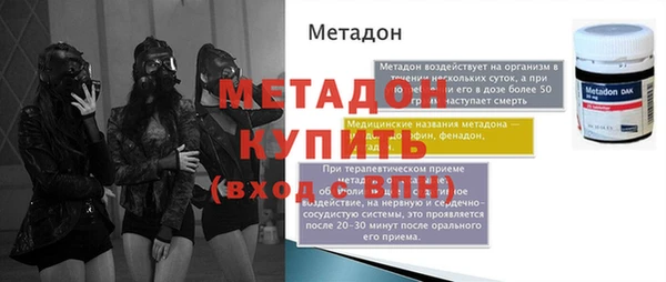 индика Гусев