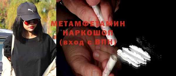 индика Гусев