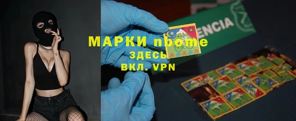 индика Гусев
