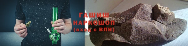 индика Гусев