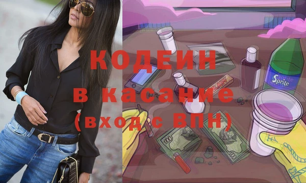 индика Гусев