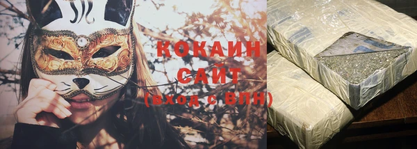 трава Гусиноозёрск