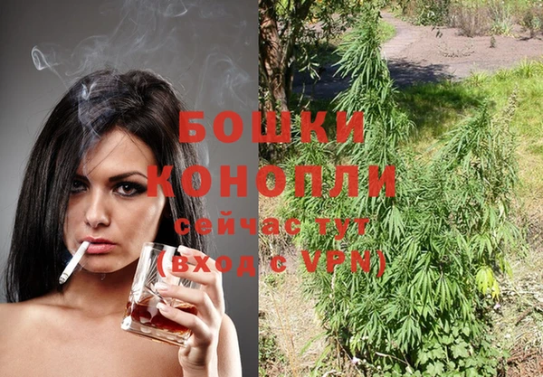 индика Гусев