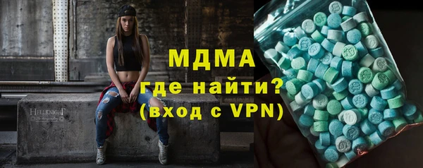 индика Гусев