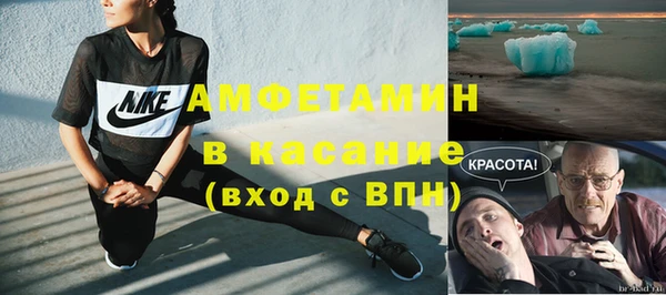 индика Гусев