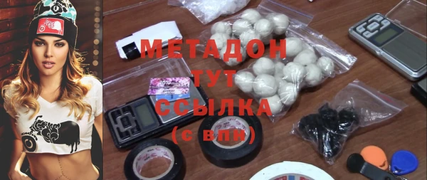 индика Гусев