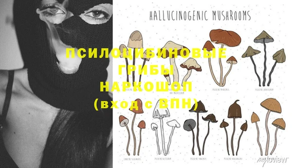 индика Гусев