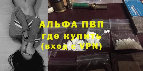 трава Гусиноозёрск