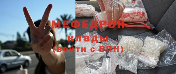трава Гусиноозёрск