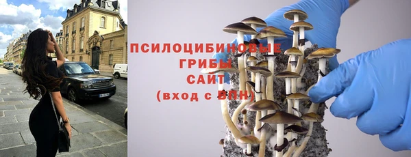 индика Гусев